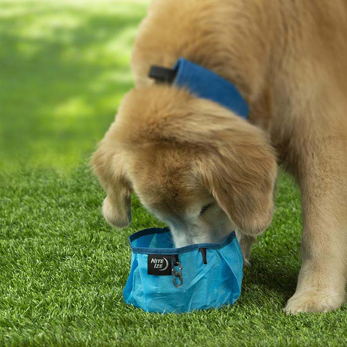Nite-Ize-Rad-Dog-Collapsible-Pet-Bowl-Blue-Borrego-Outfitters