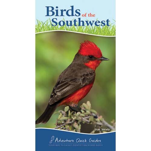 Birds Southwest Quick Guide.indd