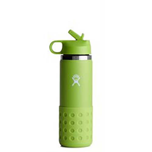 https://borregooutfitters.com/wp-content/uploads/hydro-flask-20-oz-Kids-Widemouth-With-Straw-Lid-Seagrass-borrego-outfitters.jpeg